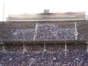 TCU home stands and logo